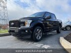 Thumbnail Photo 11 for 2019 Ford F150